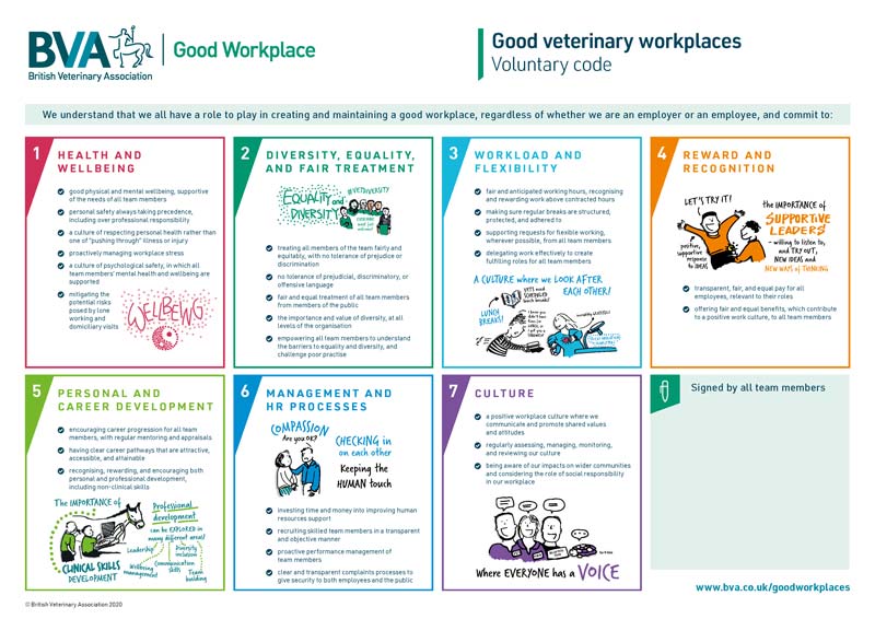 The BVA Good Veterinary Workplaces Voluntary Code poster.