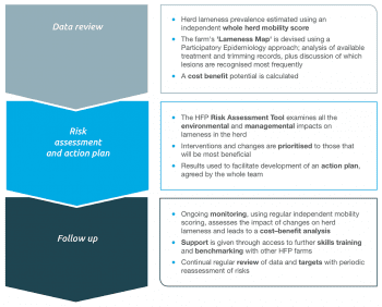 Figure 1. The structured approach to the Healthy Feet Programme includes resources to help with the data review, skills review, risk assessment, action planning and follow-up.