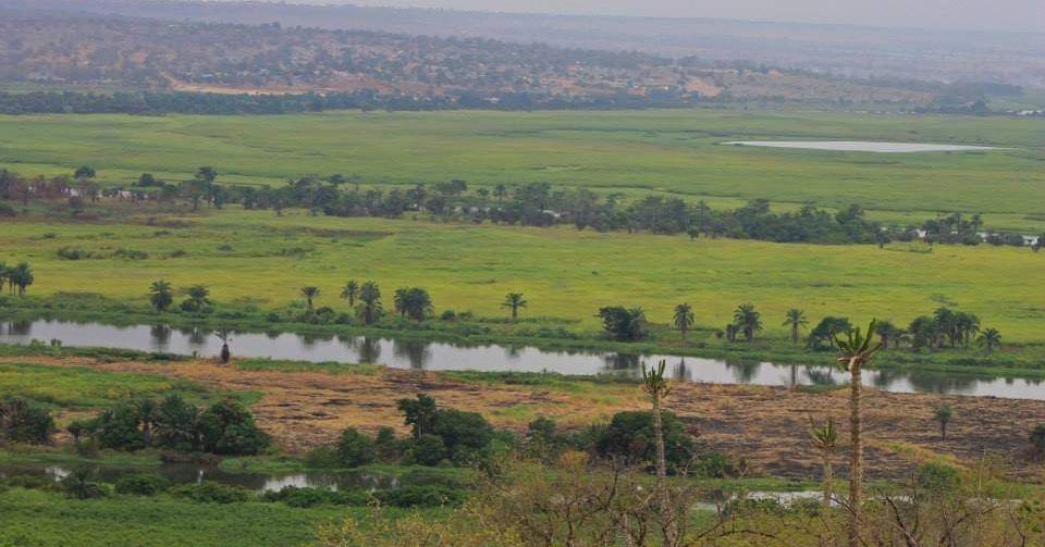 A savannah area that was once occupied by hundreds of buffalo herds. Image © Franciany Braga-Pereira.