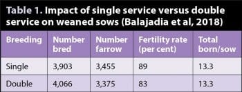 Table 1. Impact of single service versus double service on weaned sows (Balajadia et al, 2018)