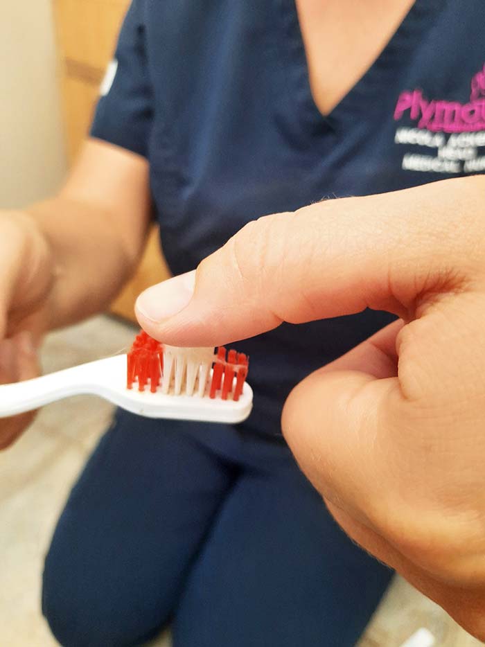 Figure 1. Pushing the gel/paste into the brush’s bristles will prevent the pet from licking it off.