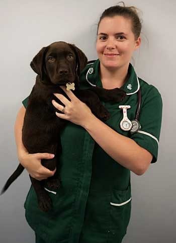 Katie Whalley won the bursary for her research and presentation on quantifying and monitoring practice cleanliness.