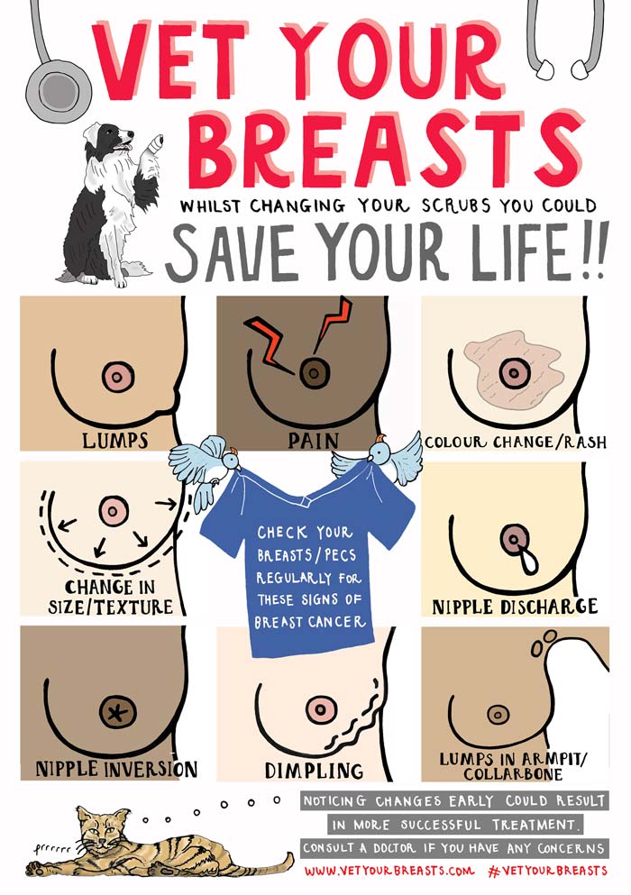 The poster at the centre of the Vet Your Breasts campaign.