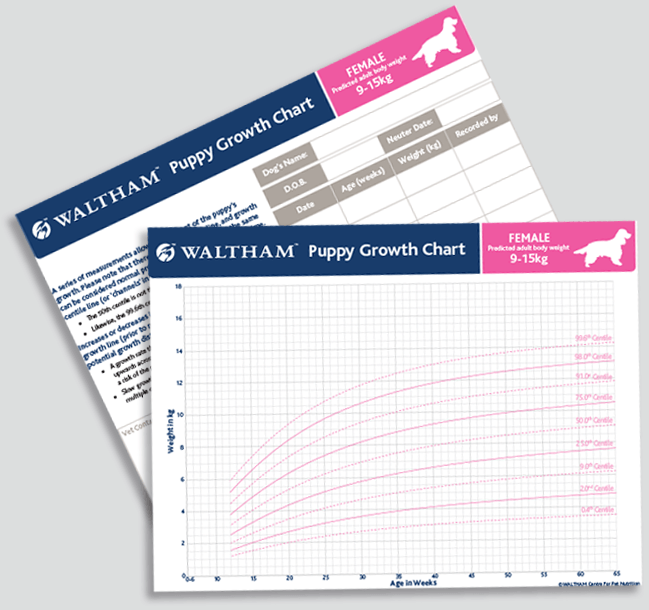 The growth charts are based on the bodyweight for five different size categories of dogs.