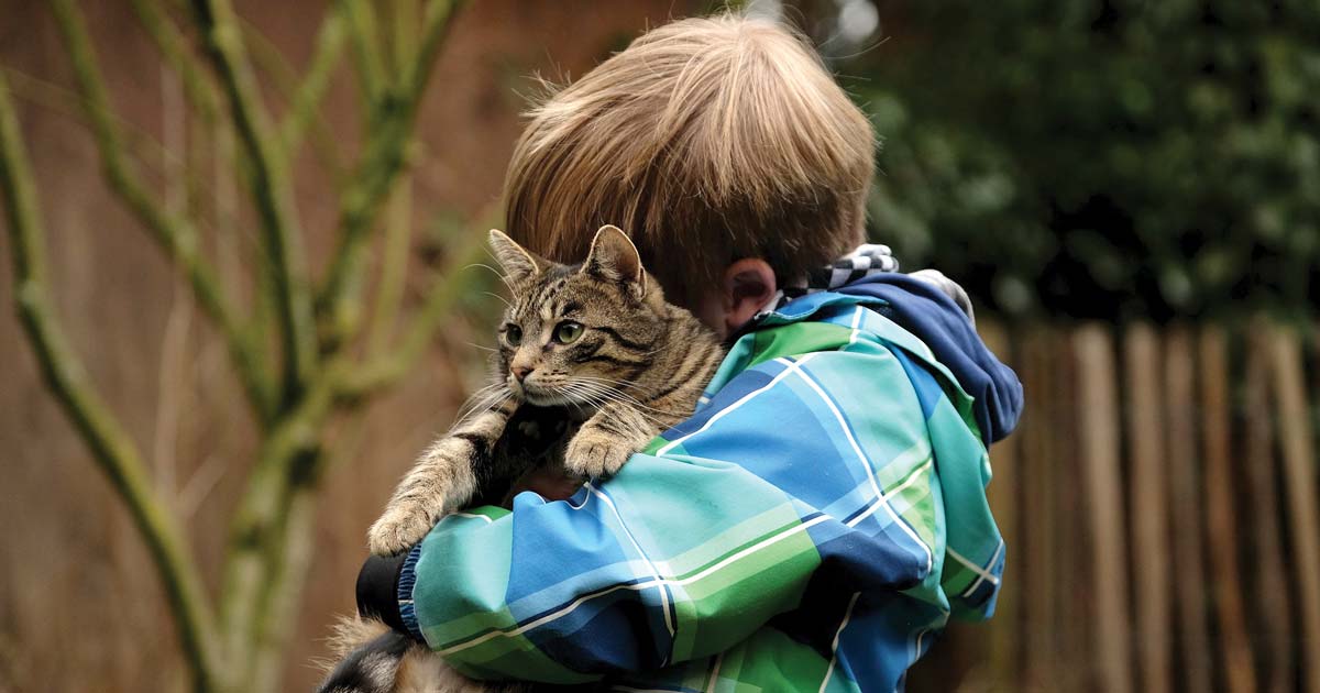 friendship-2112623_1920-pixabay