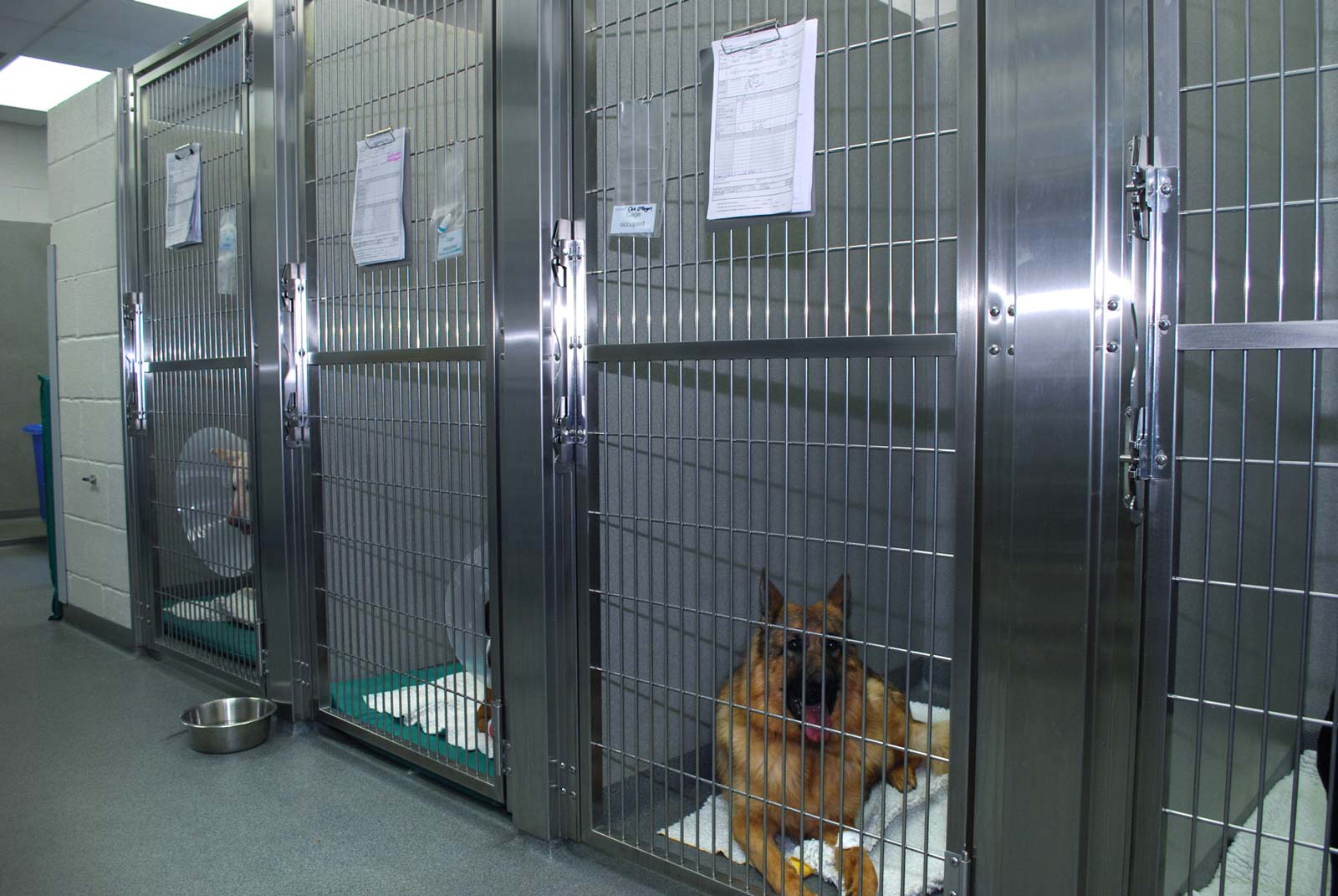 kennels-0036