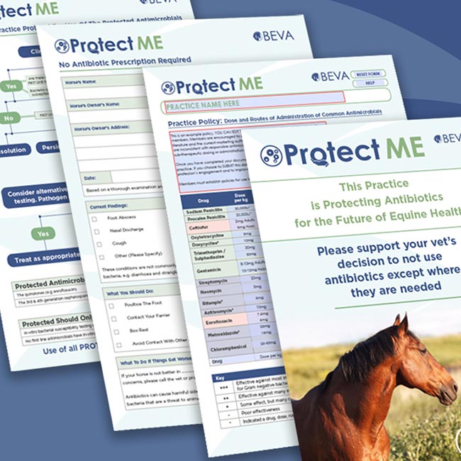 BEVA’s PROTECT ME toolkit has been revised to coincide with World Antimicrobial Awareness Week.