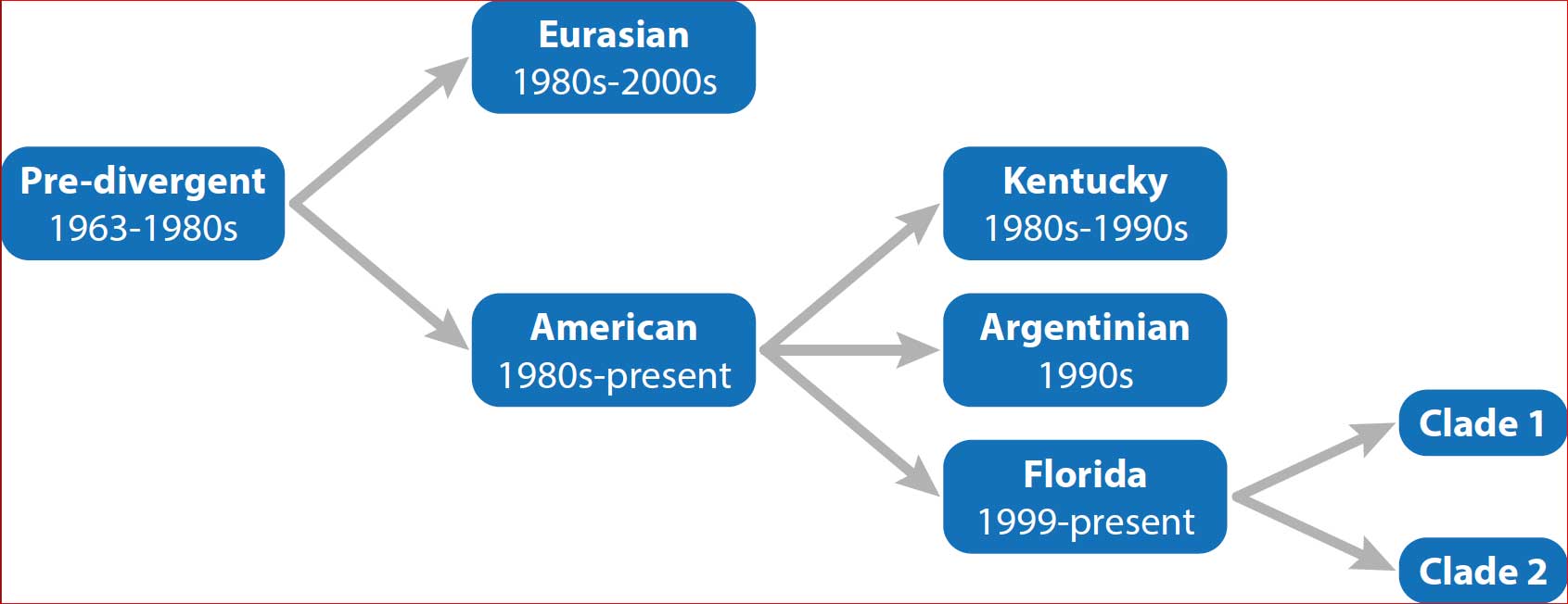 The evolution of equine flu viruses. The Florida sub-lineage of the H3N8 virus emerged in the late 1990s and by 2003 had diverged into the two clades that continue to co-circulate today.