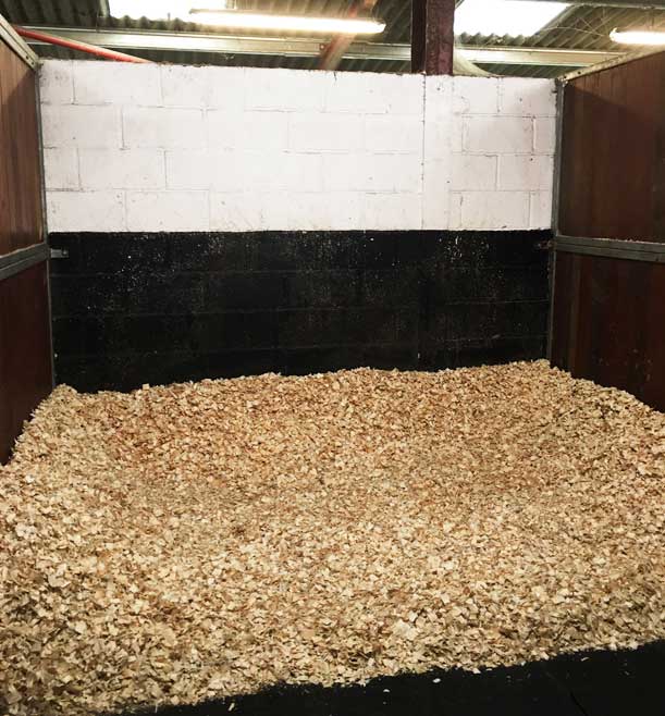 Dust-free shavings or paper bedding are recommended if horses are to be stabled