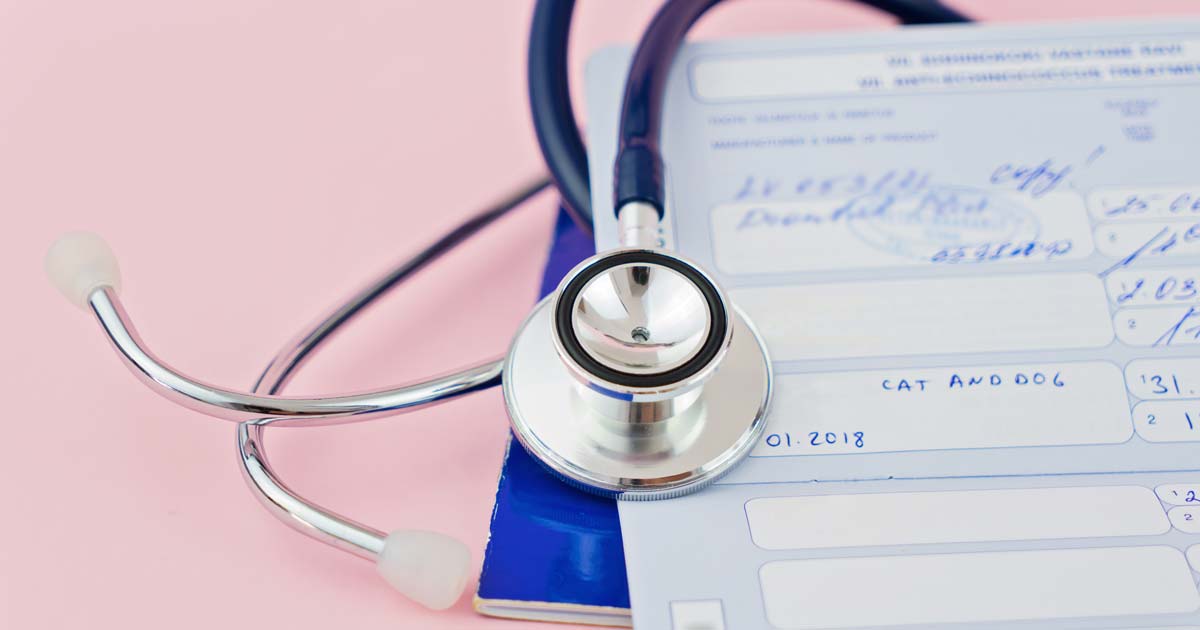 Pet vaccination card/passport.
