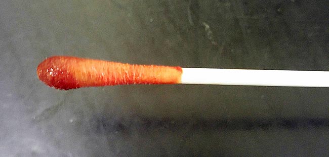 Figure 3. A rectal swab.