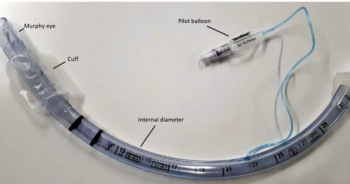 Figure 1. An endotracheal tube with a cuff.