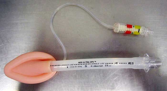 Figure 2. A classic laryngeal mask airway device.