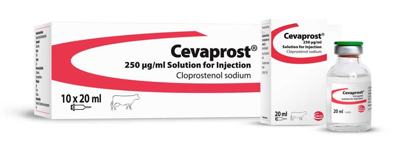 Cevaprost-2x-boxes-and-bottle-with-shadow2