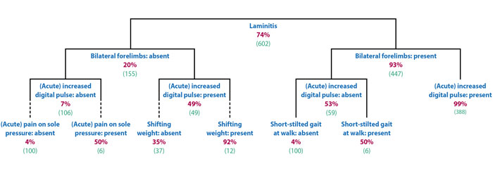 Figure 1. Tree diagram of the occurrence of laminitis for combinations of lameness, stance, feet affected and acute laminitis clinical signs3.