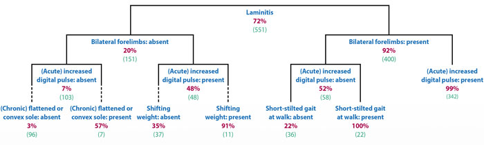 Figure 2. Overall tree diagram of the occurrence of laminitis for combinations of lameness, stance, feet affected, acute and chronic laminitis clinical signs3.