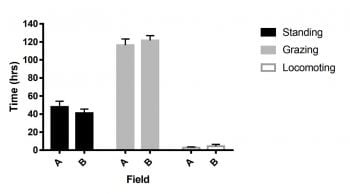 The total amount of time (hours) spent standing, grazing and locomoting in a large paddock (Field A) and when strip grazed (Field B).