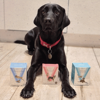 The new product is a fast-acting anti-inflammatory health care supplement specifically designed to tackle common joint ailments in dogs and cats.
