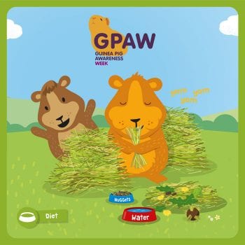 Burgess Pet Care and partners are running the first event in March.