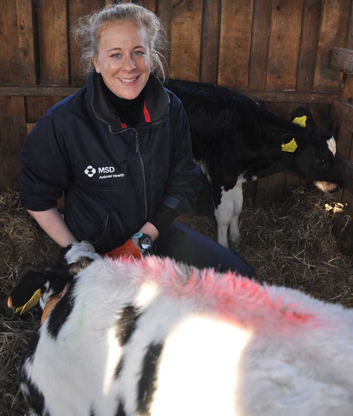 Kat Baxter-Smith says that when it comes to maximising calf immunity, quality colostrum provision and dam vaccination are the foundations of better scour control.
