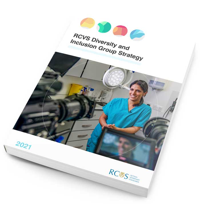 RCVS-diversity-strategy