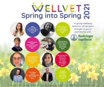 Spring-into-spring
