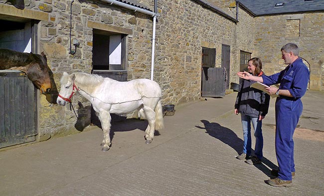 Biosecurity planning should be a service offered to all yard owners and incorporate an annual visit to the yard.