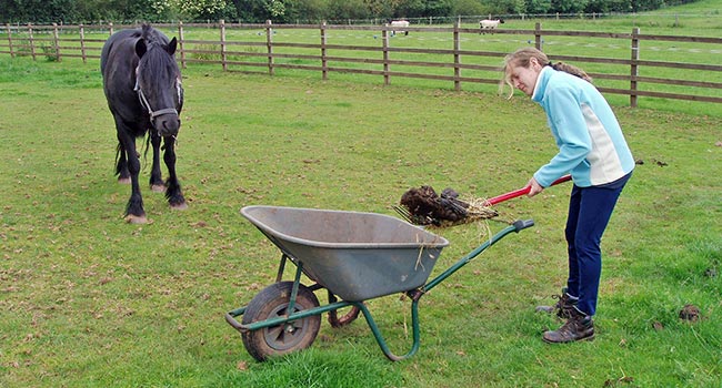 Despite messages from all spheres, including industry, many horse owners are not using worm egg counts and good pasture management practices.