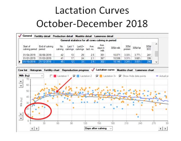 Figure 1. Lactation curves October to December 2018.