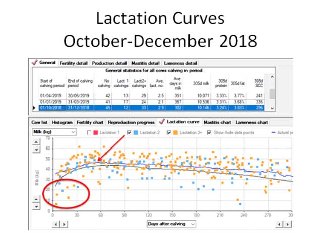 Figure 1. Lactation curves October to December 2018.