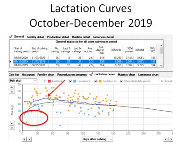 Figure 2. Lactation curves October to December 2019