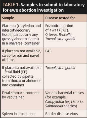 Table 1. Samples to submit to laboratory for ewe abortion investigation.