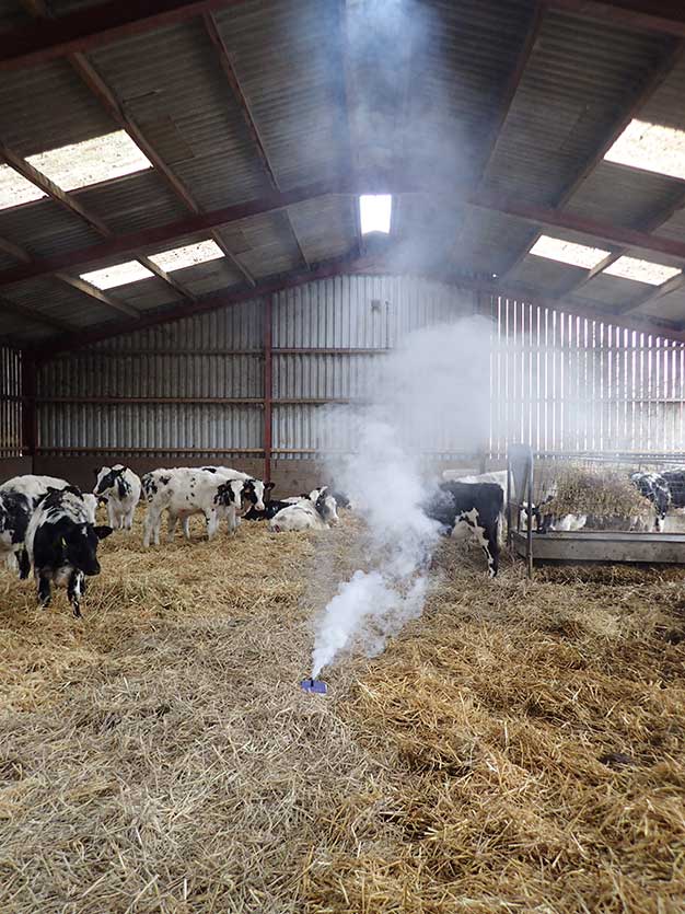 Smoke bombs can be used to demonstrate problems with ventilation in sheds.