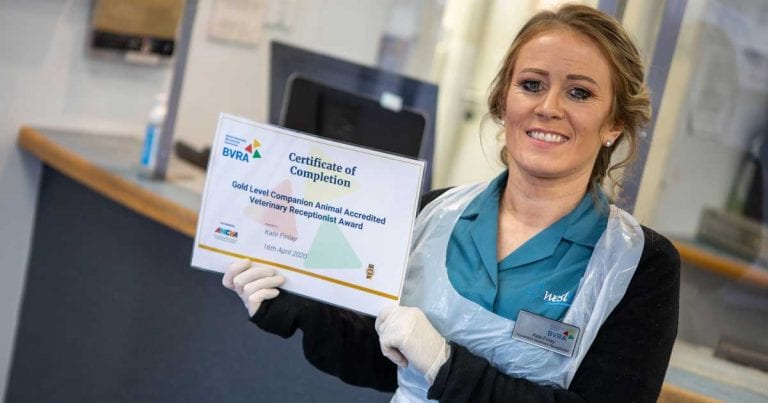 Skills boost for Newcastle receptionists | Vet Times Skills boost for Newcastle receptionists | Vet Times