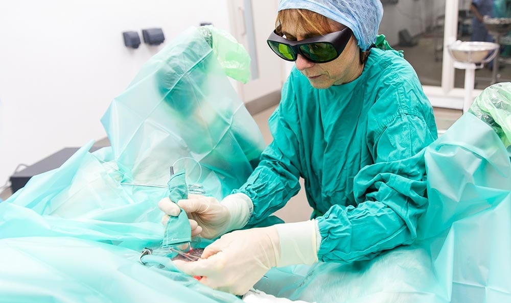Alex Thiemann operating at The Donkey Sanctuary's state-of-the-art hospital. Image © The Donkey Sanctuary