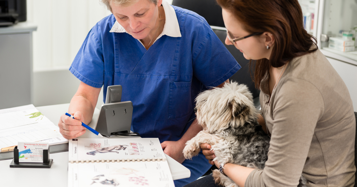 Vet explaining to pet owner.