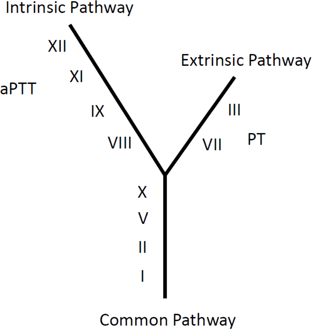 Intrinsic Vs Extrinsic Coag Pathway QKFR