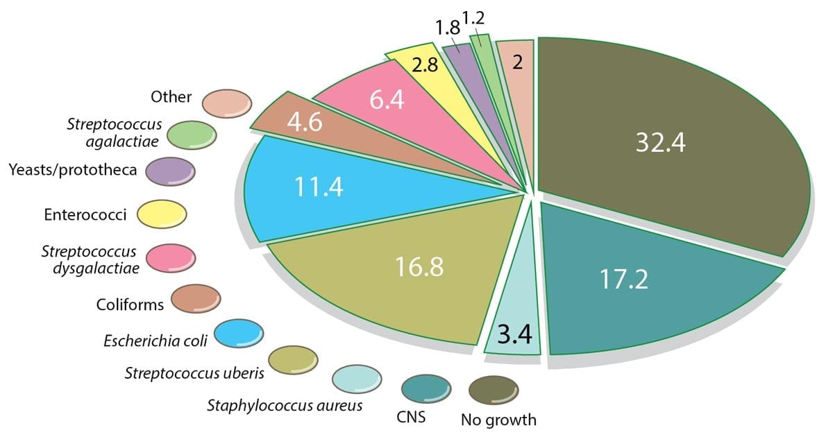 Figure 1. Clinical mastitis outcome in 2013 (n = 14.233; University of Veterinary Medicine Hannover mastitis laboratory).