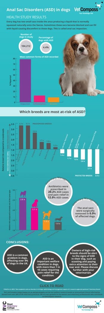 WEBASD-infographic