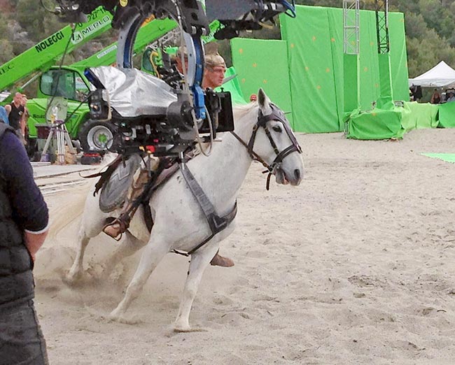 A film horse working on set.