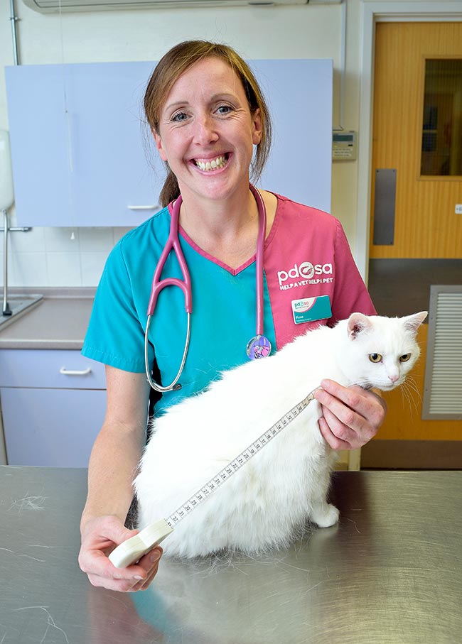 PDSA will be working with Royal Canin to raise awareness of rising rates of obesity and help owners manage their pets’ weight.