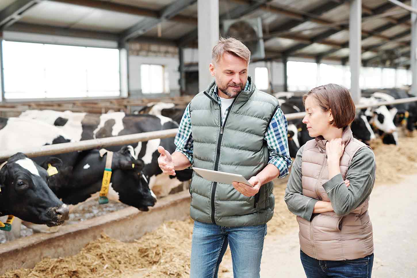 vet farmer communication on farm IMAGE: pressmaster / Adobe Stock