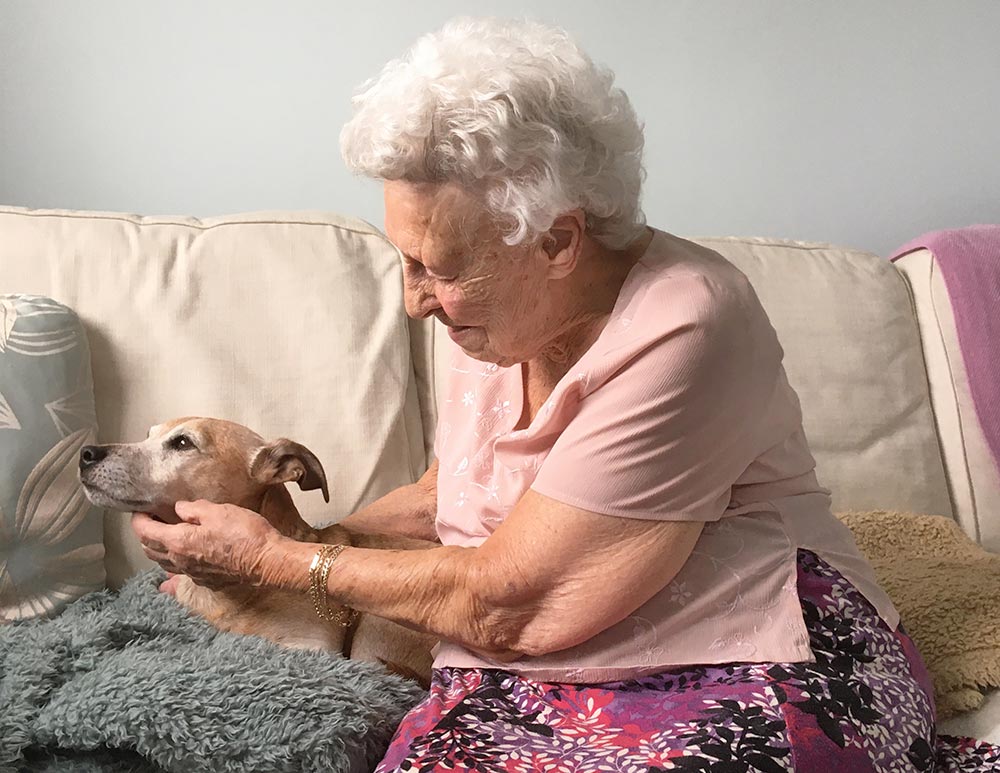 Paddy has been a great comfort to Marjorie Rigby during the past year.