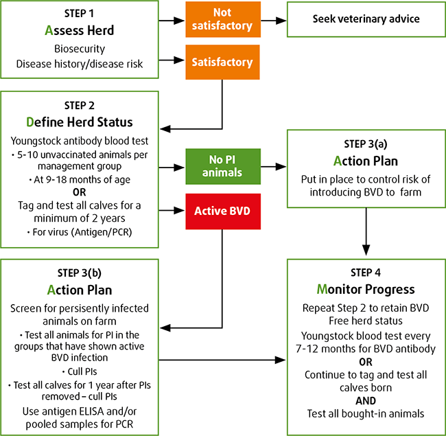 Figure 4. Bovine viral diarrhoea elimination using “ADAM” (explained below).