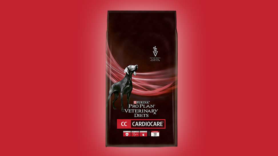 Purina cardiac diet outlet