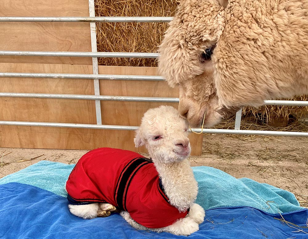 Delia was born two weeks premature.