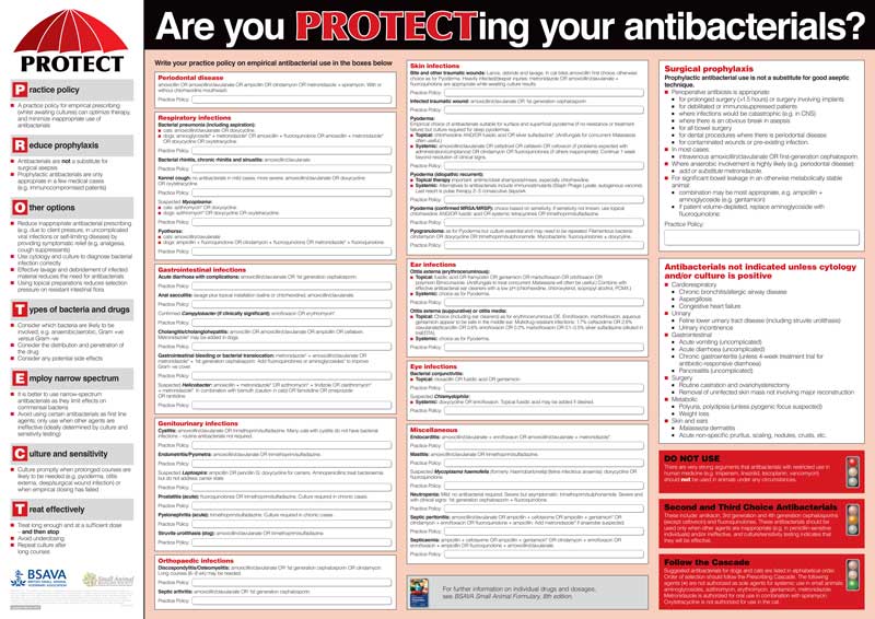 BSAVA PROTECT poster