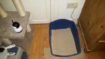 Figure 4. A webcam can be helpful in recording behaviour associated with urination. In this example, viewing footage proved helpful in identifying episodes when the cat, Shai, was suffering from dysuria and/or urethral obstruction. The webcam is located close to the litter box.