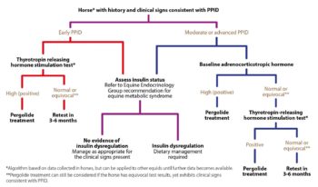 Figure 2. Algorithm for the diagnosis and management of pituitary pars intermedia dysfunction (PPID).