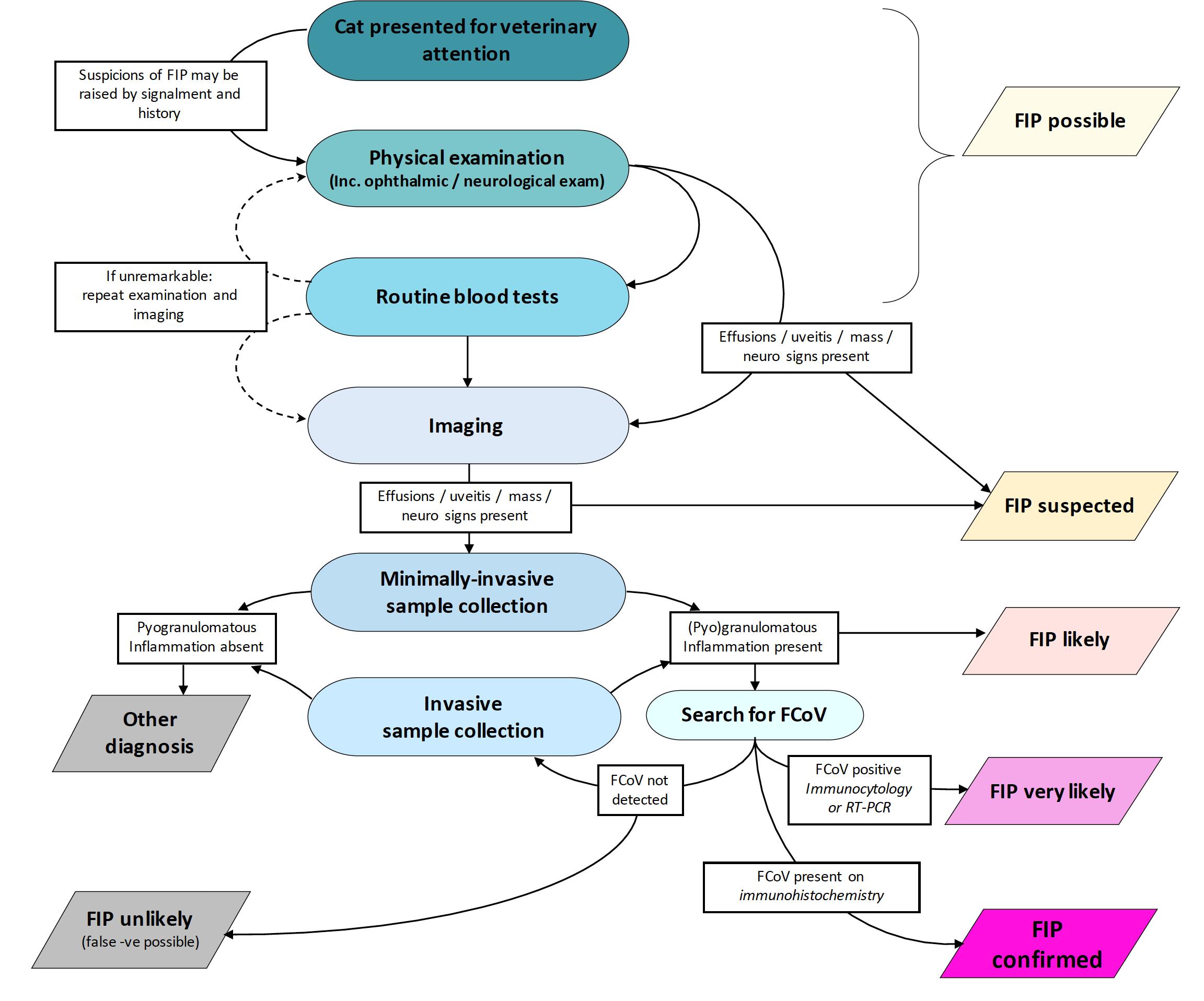 Figure 6. Approach to the diagnosis of FIP.